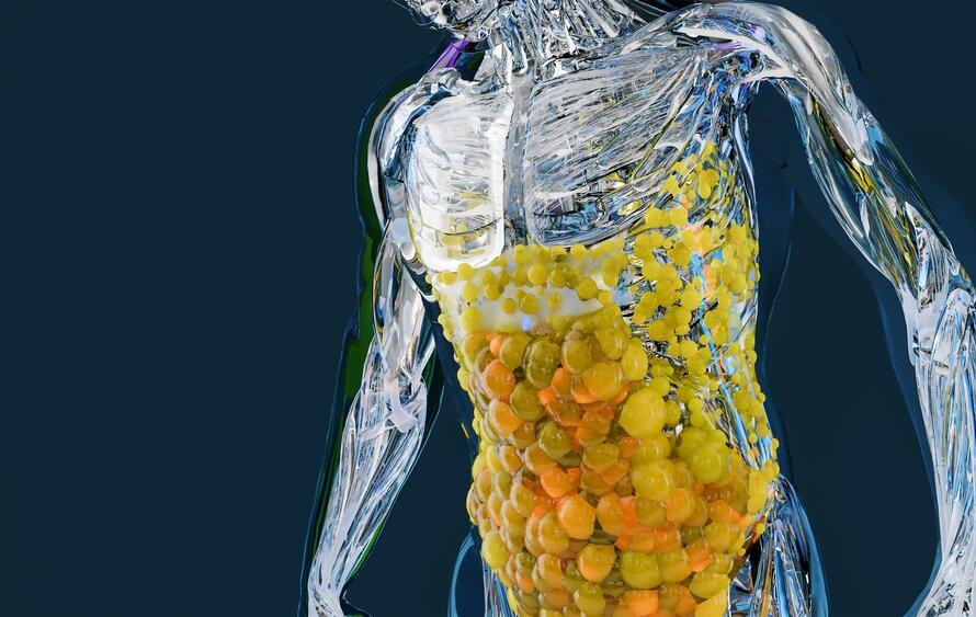 Paradoxical Adipose Hyperplasia